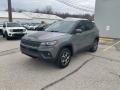 Sting Gray - Compass Trailhawk 4x4 Photo No. 7