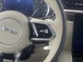 Charente Gray - F-PACE P250 S Photo No. 19