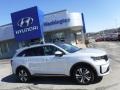 Silky Silver - Sorento Hybrid SX AWD Hybrid Photo No. 2