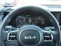 Silky Silver - Sorento Hybrid SX AWD Hybrid Photo No. 31