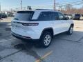 Bright White - Grand Cherokee Limited 4x4 Photo No. 8