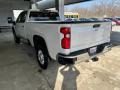 Iridescent Pearl Tricoat - Silverado 2500HD LTZ Crew Cab 4x4 Photo No. 10