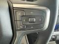 Iridescent Pearl Tricoat - Silverado 2500HD LTZ Crew Cab 4x4 Photo No. 19