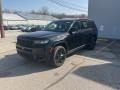Diamond Black Crystal Pearl - Grand Cherokee L Altitude 4x4 Photo No. 8