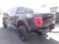Agate Black Metallic - F150 Sherrod XLT SuperCrew 4x4 Photo No. 3