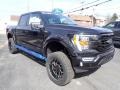 Agate Black Metallic - F150 Sherrod XLT SuperCrew 4x4 Photo No. 7