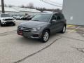 Pepper Gray Metallic - Tiguan Limited 2.0T 4Motion Photo No. 7