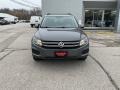 Pepper Gray Metallic - Tiguan Limited 2.0T 4Motion Photo No. 10