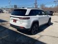 Bright White - Grand Cherokee Limited 4x4 Photo No. 8