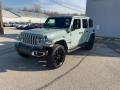 Earl - Wrangler Unlimited Sahara 4XE Hybrid Photo No. 7