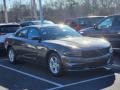 Granite Pearl - Charger SXT Photo No. 2