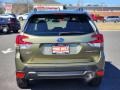 Autumn Green Metallic - Forester Premium Photo No. 6