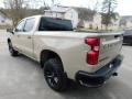 Sand Dune Metallic - Silverado 1500 Custom Trail Boss Crew Cab 4x4 Photo No. 10