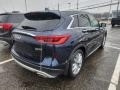 Hermosa Blue - QX50 Luxe AWD Photo No. 6