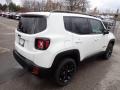 Alpine White - Renegade Altitude 4x4 Photo No. 5