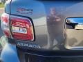 2017 Gun Metallic Nissan Armada Platinum 4x4  photo #8