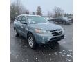 Silver Blue - Santa Fe SE 4WD Photo No. 2