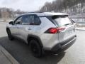 Silver Sky Metallic - RAV4 XLE AWD Photo No. 11