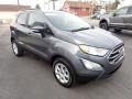 Smoke Metallic - EcoSport SE 4WD Photo No. 7
