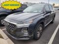 Portofino Gray 2020 Hyundai Santa Fe SEL AWD