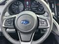 Titanium Gray Steering Wheel Photo for 2023 Subaru Legacy #145795423