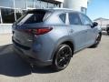 Polymetal Gray - CX-5 S Carbon Edition AWD Photo No. 2