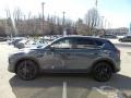 Polymetal Gray - CX-5 S Carbon Edition AWD Photo No. 6