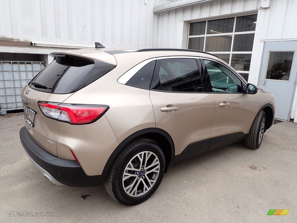 2020 Escape SEL 4WD - Desert Gold Metallic / Ebony Black photo #2