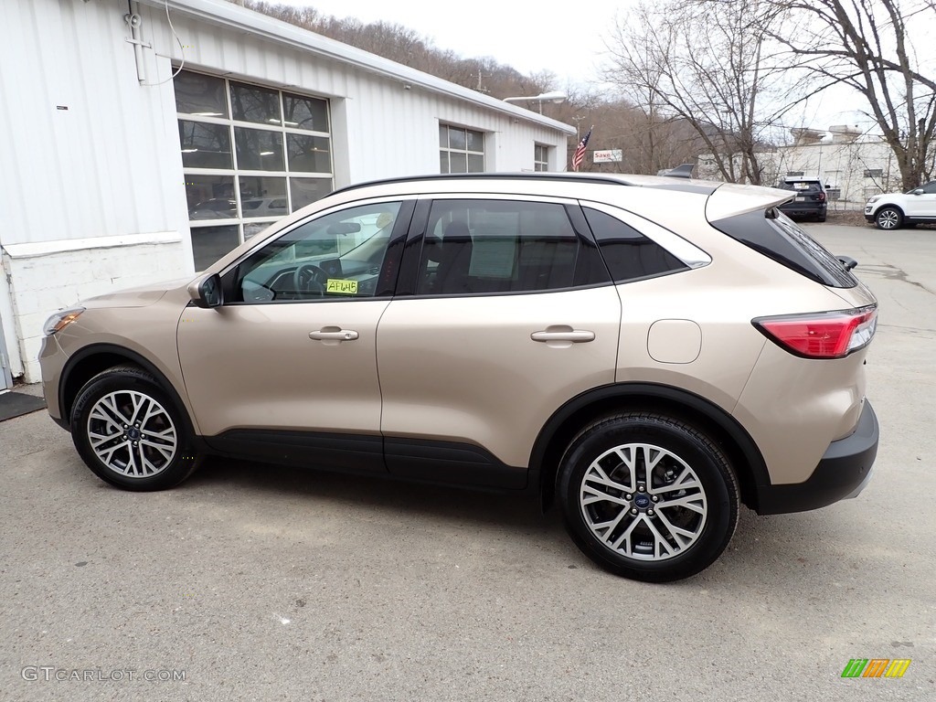 2020 Escape SEL 4WD - Desert Gold Metallic / Ebony Black photo #5