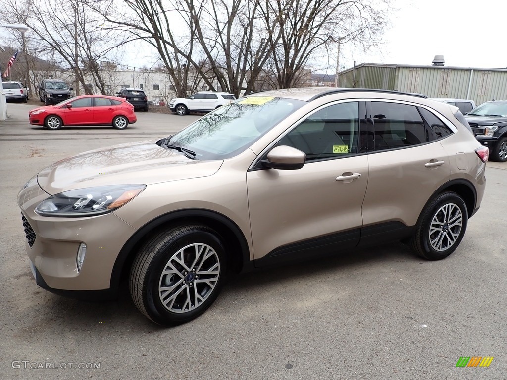 2020 Escape SEL 4WD - Desert Gold Metallic / Ebony Black photo #6