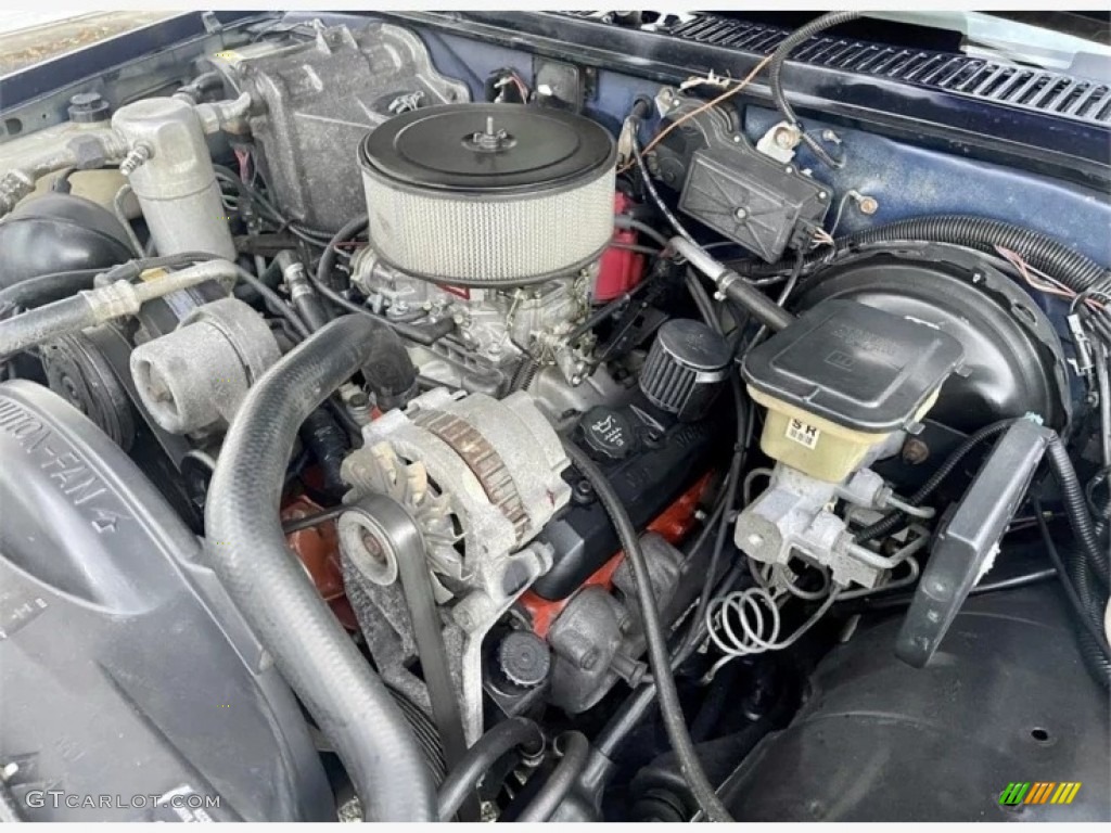 1989 Chevrolet S10 Regular Cab 4.3 Liter OHV 12-Valve V6 Engine Photo #145819904