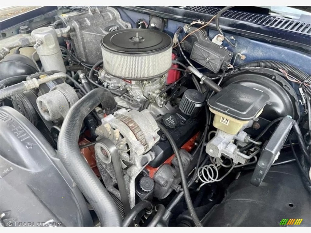 1989 Chevrolet S10 Regular Cab 4.3 Liter OHV 12-Valve V6 Engine Photo #145820348