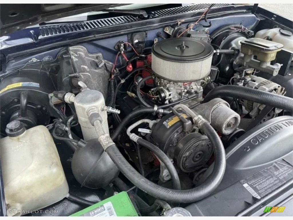 1989 Chevrolet S10 Regular Cab 4.3 Liter OHV 12-Valve V6 Engine Photo #145820369