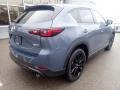 Polymetal Gray - CX-5 S Carbon Edition AWD Photo No. 2