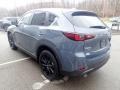 Polymetal Gray - CX-5 S Carbon Edition AWD Photo No. 5