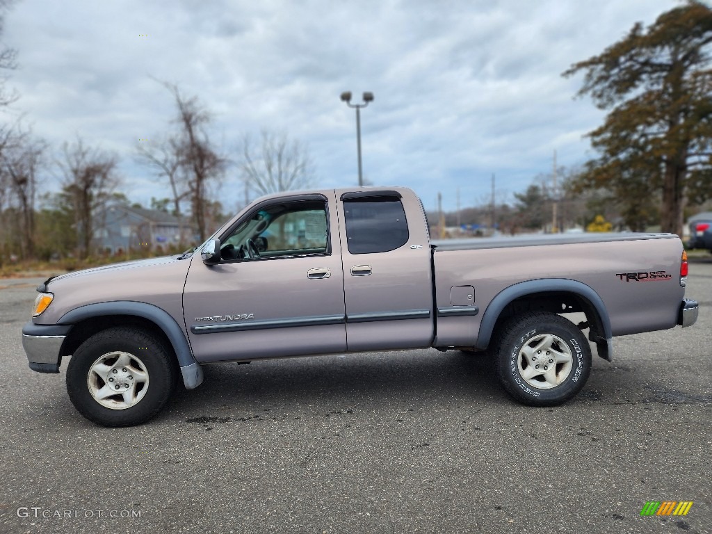 2002 Tundra SR5 Access Cab 4x4 - Desert Sand / Gray photo #5
