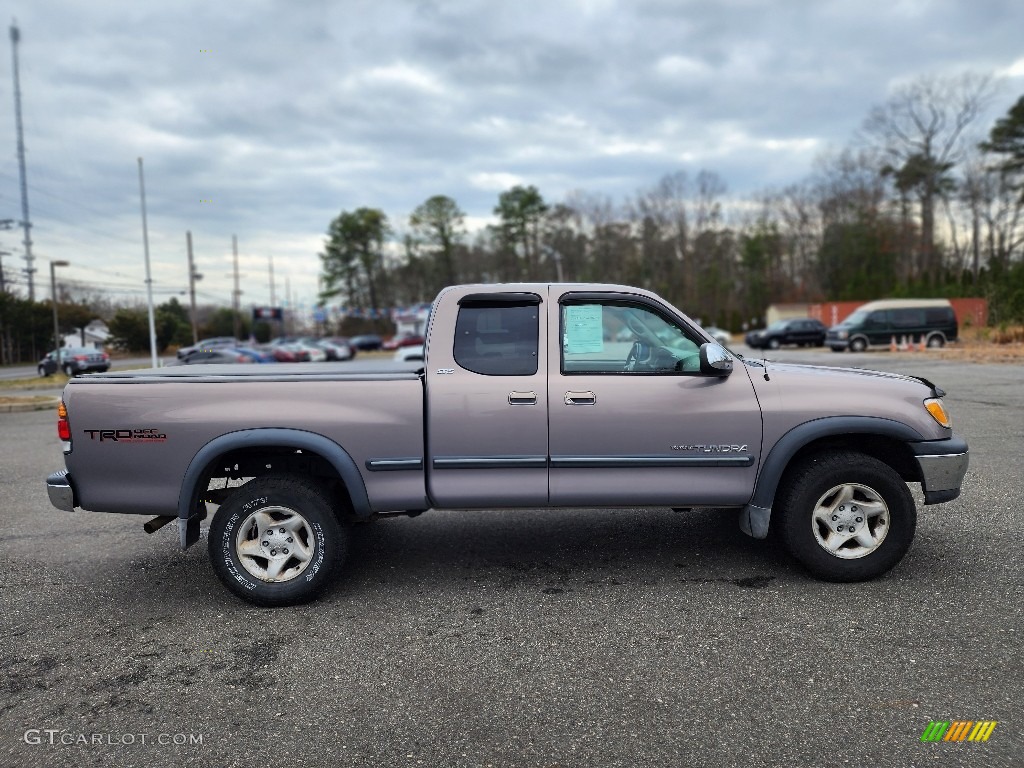 2002 Tundra SR5 Access Cab 4x4 - Desert Sand / Gray photo #6
