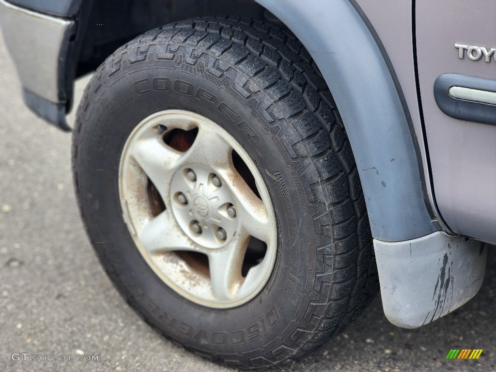 2002 Tundra SR5 Access Cab 4x4 - Desert Sand / Gray photo #21