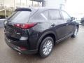Jet Black Mica - CX-5 S Preferred AWD Photo No. 2