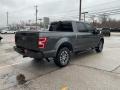 Magnetic - F150 XLT SuperCrew 4x4 Photo No. 8