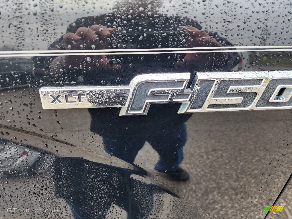 2013 F150 XLT SuperCrew 4x4 - Tuxedo Black Metallic / Steel Gray photo #3