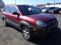 Mesa Red - Tucson GLS V6 Photo No. 3