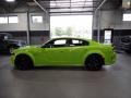 Sublime Metallic - Charger Scat Pack Widebody Photo No. 2