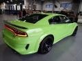 Sublime Metallic - Charger Scat Pack Widebody Photo No. 5