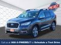 Magnetite Gray Metallic 2022 Subaru Ascent Touring