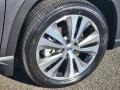 Magnetite Gray Metallic - Ascent Touring Photo No. 18