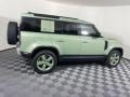 Grasmere Green - Defender 110 75th Limited Edition Photo No. 11
