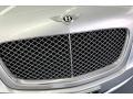 Silver Tempest - Continental Flying Spur  Photo No. 28