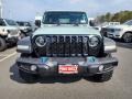 Earl - Wrangler Unlimited Willys 4XE Hybrid Photo No. 2