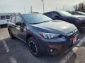 Magnetite Gray Metallic - Crosstrek Premium Photo No. 2